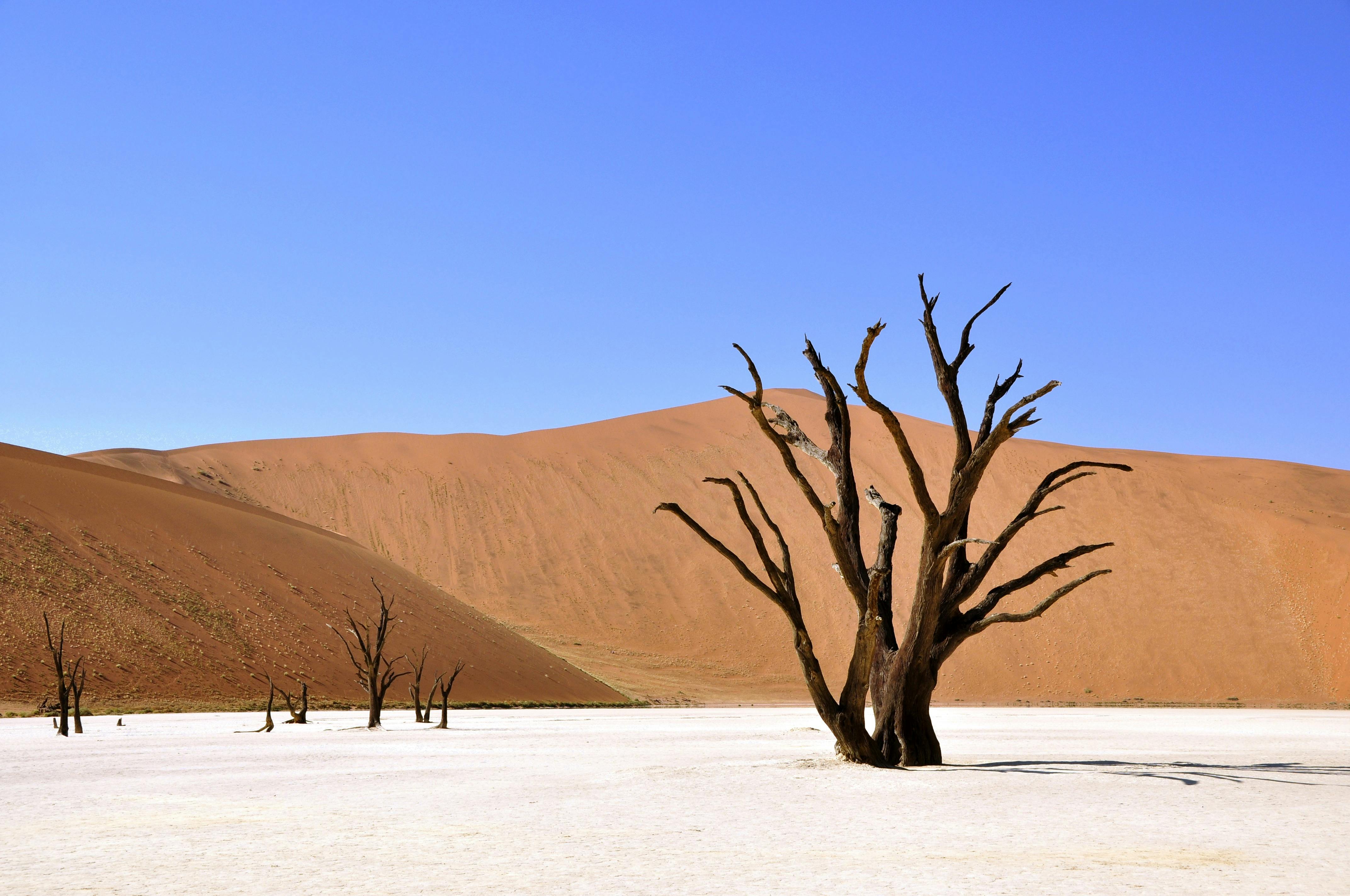 Namibia Image